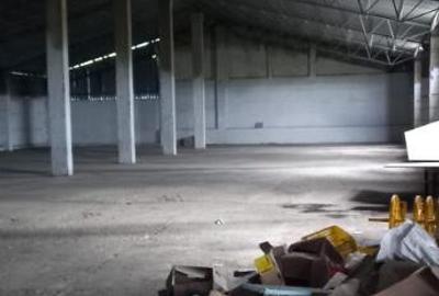 Activ de vanzare la 10 Km de Municipiul Braila ,3 Km de Dunare - 12