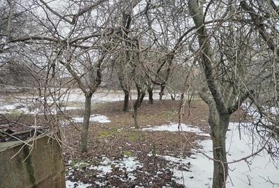 Teren de 1880 mp, în Central - 2
