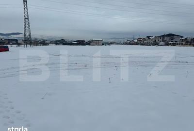 Teren de 600 mp, în Cetate - 3