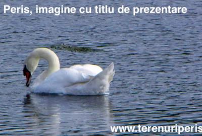 Teren de 735 mp, în Ciolpani