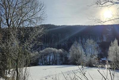 Teren Construcții intravilan de 3200 mp, în Est - 7