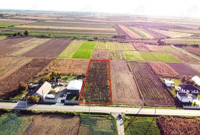 Teren intravilan de vanzare 3000 mp, Botiz, str. Sirul Mare, la doar 7 km de centrul Satu Mare - 6