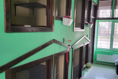 Casa Zona Drumul Taberei, 13 Septembrie,  Palatul Cotroceni - 9