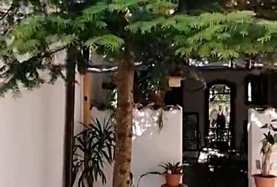 Vanzare casa renovata 2 camere curte proprie foisor Cotroceni - 2