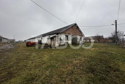 Spațiu industrial, de 1,282 mp, în Mohu - 5