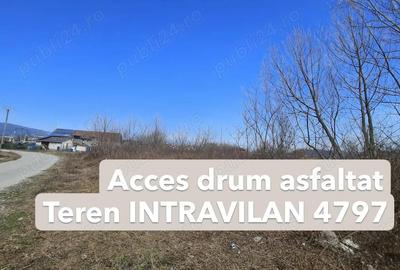 Teren de 4797 mp, în Bujoreni - 3