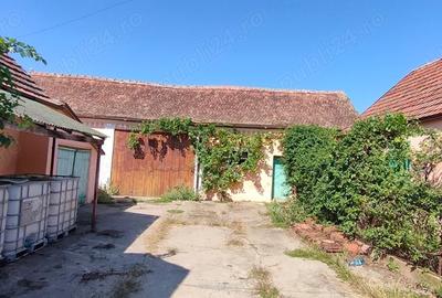 Casă cu 4 camere cu Teren 3000 Mp în Alioș - 9