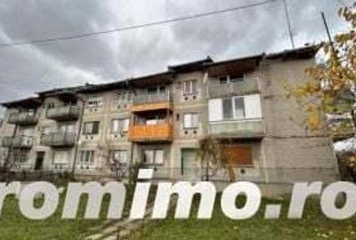 Cota 1/2 ap 2 camere Barastii Hategului, jud. Hunedoara - 7