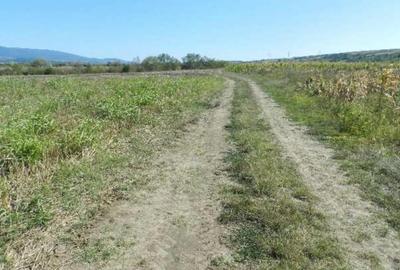 Teren extravilan arabil, situat in Oravita, Jud Caras-Sev... - 6