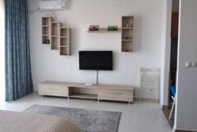 Garsonieră în Transilvaniei - 9