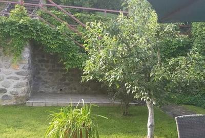 Casă cu 6 camere cu Teren 1310 Mp în Mihăești - 3