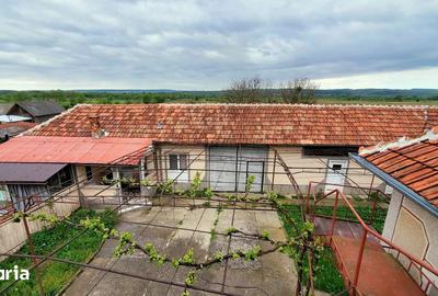 Casă cu 6 camere cu Teren 4845 Mp în Dobrești - 6