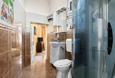 Apartament cu 2 camere circular, mobilat în Aradul Nou - 10