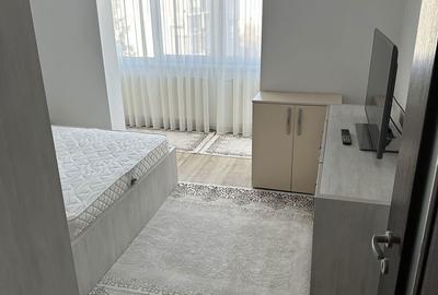 Apartament cu 2 camere decomandat în Scriitorilor - 4