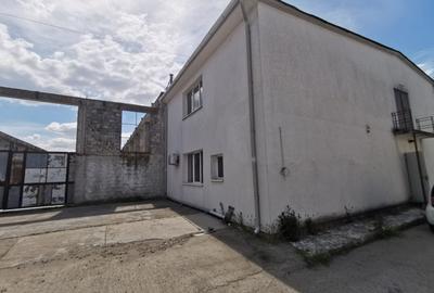 Spațiu industrial, de 1,800 mp, în Dumbrăvița - 3