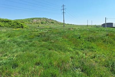 Spațiu comercial, în Betfia - 2