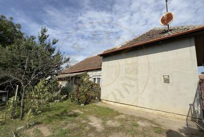 Casa 3 camere, Teren 1875 mp Loc. Tiream Jud. Satu Mare-Comision 0% cumparator - 11