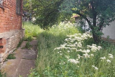 Casă cu 3 camere cu Teren 2482 Mp în Vultureni - 2