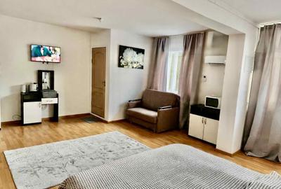 Garsonieră în Craiovița Nouă - 2