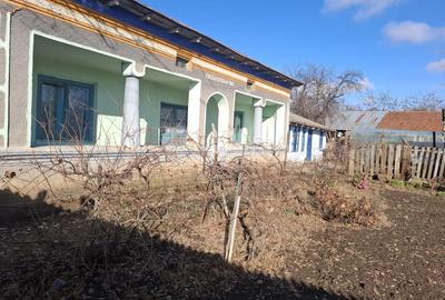 Casa batraneasca de vanzare in sat Segarcea Deal,jud Teleorman - 3
