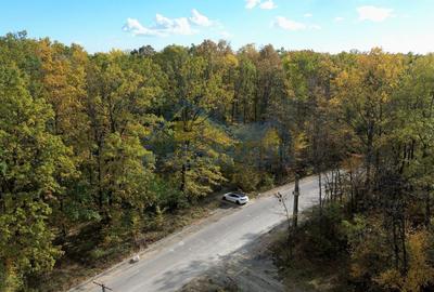 Teren Construcții intravilan de 7000 mp, în Vărbila - 3