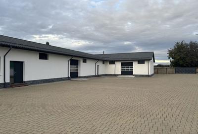 Spațiu comercial, de 70 mp, în Central - 5