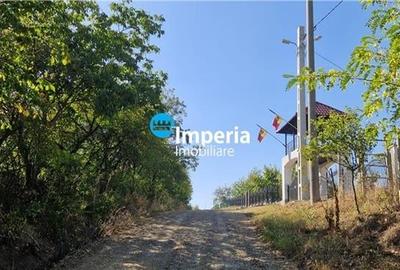 Teren intravilan de vanzare in Iasi, amplasat in zona Holboca-Ruseni - 9