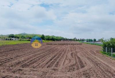 Teren- Com. Stefan cel Mare- jud. Neamt - 2