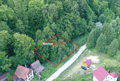TEREN INTRAVILAN CONSTRUIBIL 400 mp | Statiunea Boga,...