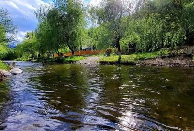 Casă cu Teren 4866 Mp în Central - 7