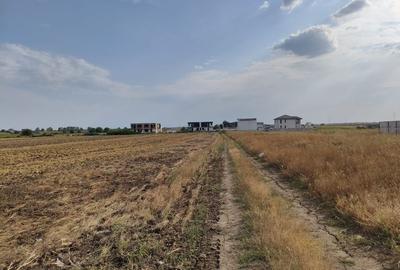 Teren intravilan, 320 mp - Str Primaverii, Berceni Teren intravilan, 320 mp - Str Primaverii, Berceni - 2