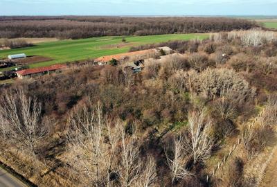 Ferma si livada de meri in judetul Ilfov - 20
