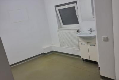 Dacia Piata Gemeni pretabil activitati multiple Dacia Piata Gemeni pretabil activitati multiple - 3