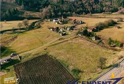 Teren de 3600 mp, în Central - 5