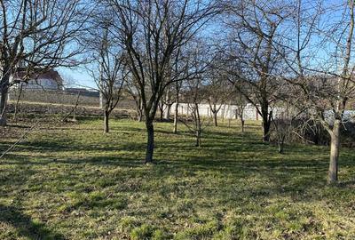 Casă cu 2 camere în Central - 2