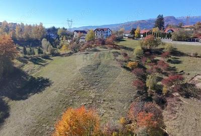 Teren de 2500 mp, în Bran - 8