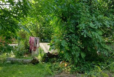 Conac de inchiriat in centrul vechi al ora?ului Gala?i ! - 3