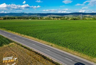 FILM! 30.200 mp teren intravilan,recomandat: investitie/exploatare agricola,Vale - 3