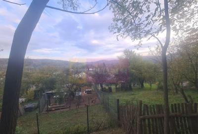 Casa batraneasca cu teren (4.910 mp) la Alunis - 9