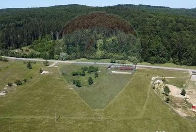 Teren de 5561 mp, în Paltin - 14