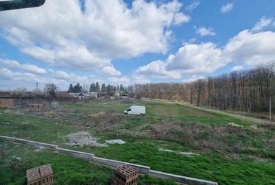 Casa la Padurea Snagov - 6