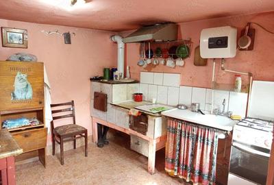 Bradisoru de Jos, Casa 14 Incaperi + Teren 1439MP - 10