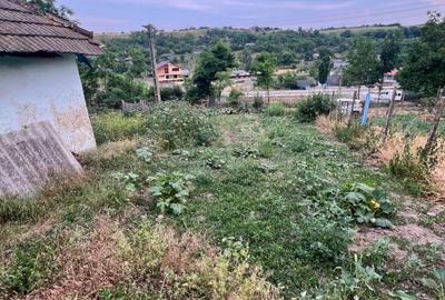Teren de 855 mp, în Perieni - 4