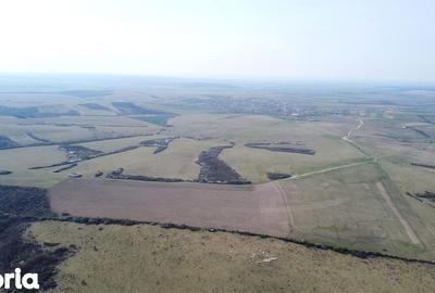 Teren de 268200 mp, în Ardud - 6