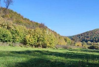 Teren de vanzare, 20.000Mp , Comuna Danes, drumul Crisului - 7