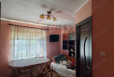 Casa cu 2 camere, de vanzare, in Lapusel! - 7