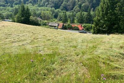 Oportunitate de Investi?ie: Teren de 10.000 mp la Intrarea - 8