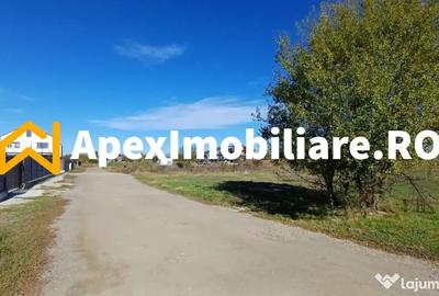 Teren în Corbeanca - 6