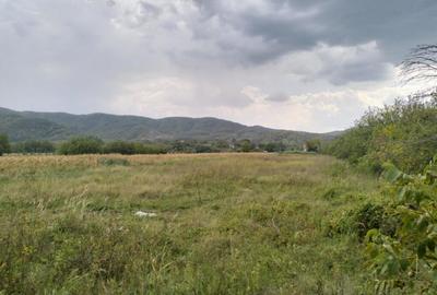 Oportunitate de investitie, teren intravilan, 6018 mp, Ungur - 1