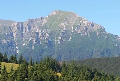 Teren Rasnov inntravilan PUZ) zona Parau Rece - 2